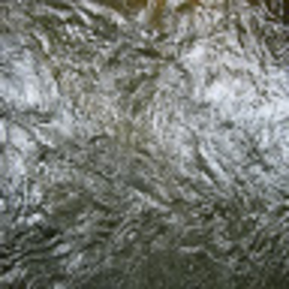 Meet your Posher, Jaime